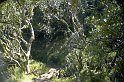 reu87_104 sentier piton vers cilaos